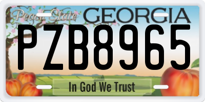 GA license plate PZB8965