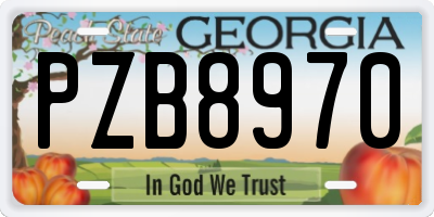 GA license plate PZB8970