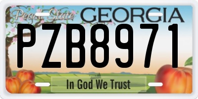 GA license plate PZB8971