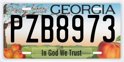 GA license plate PZB8973