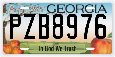 GA license plate PZB8976