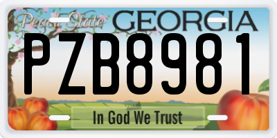GA license plate PZB8981
