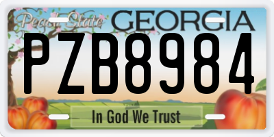 GA license plate PZB8984