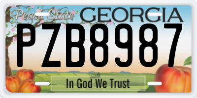 GA license plate PZB8987