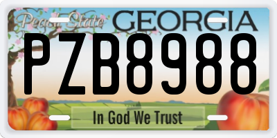 GA license plate PZB8988