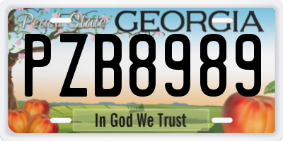 GA license plate PZB8989