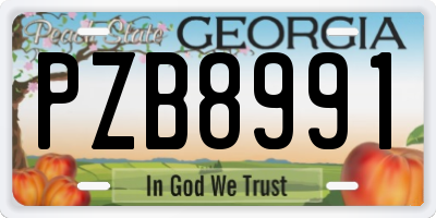 GA license plate PZB8991