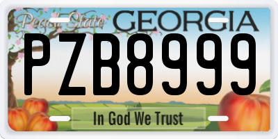 GA license plate PZB8999