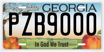 GA license plate PZB9000
