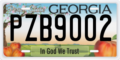 GA license plate PZB9002
