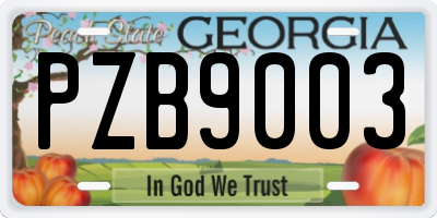GA license plate PZB9003