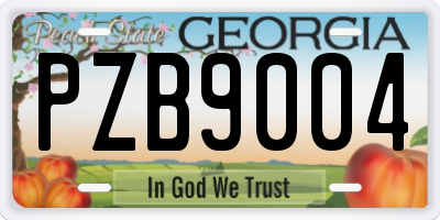 GA license plate PZB9004