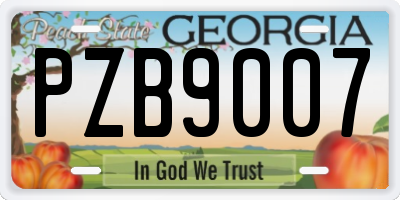 GA license plate PZB9007