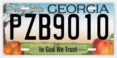 GA license plate PZB9010