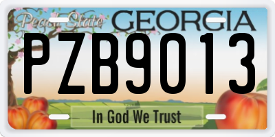 GA license plate PZB9013
