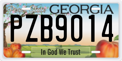 GA license plate PZB9014