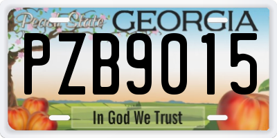 GA license plate PZB9015