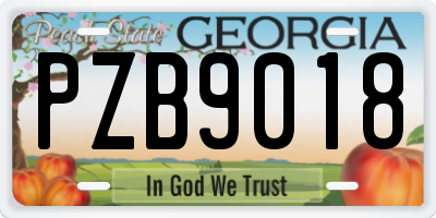 GA license plate PZB9018