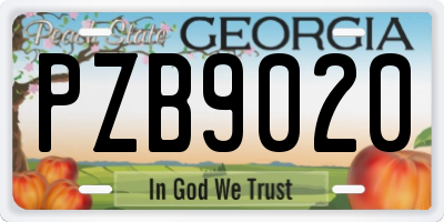 GA license plate PZB9020