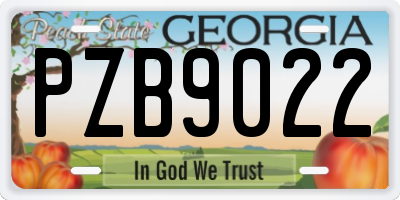 GA license plate PZB9022