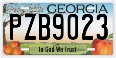 GA license plate PZB9023