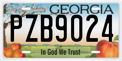 GA license plate PZB9024