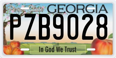 GA license plate PZB9028