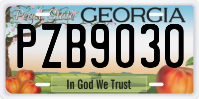 GA license plate PZB9030