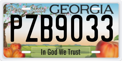 GA license plate PZB9033