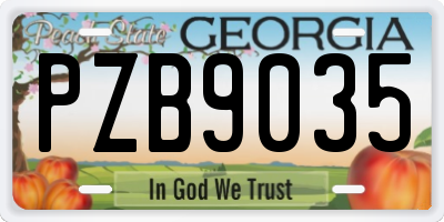 GA license plate PZB9035
