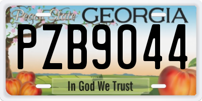 GA license plate PZB9044