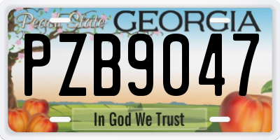 GA license plate PZB9047