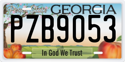 GA license plate PZB9053