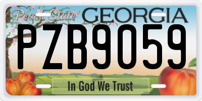 GA license plate PZB9059