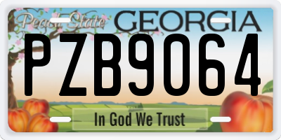 GA license plate PZB9064