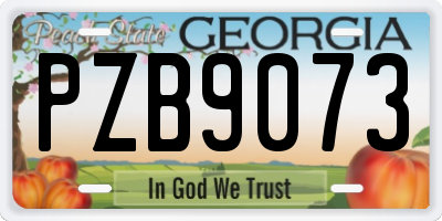 GA license plate PZB9073