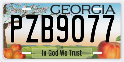GA license plate PZB9077