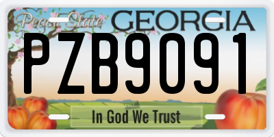 GA license plate PZB9091