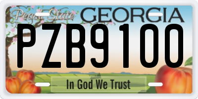 GA license plate PZB9100