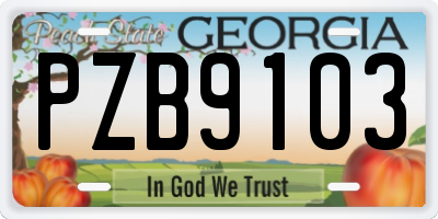 GA license plate PZB9103