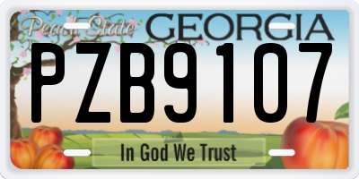 GA license plate PZB9107