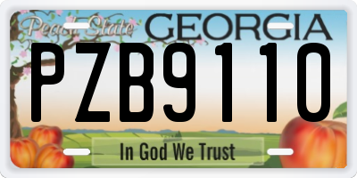 GA license plate PZB9110