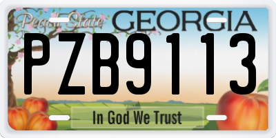 GA license plate PZB9113