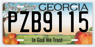 GA license plate PZB9115