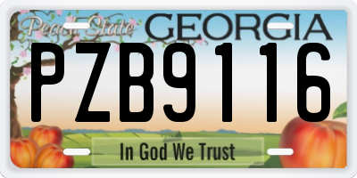 GA license plate PZB9116