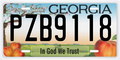 GA license plate PZB9118
