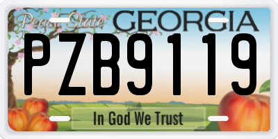 GA license plate PZB9119