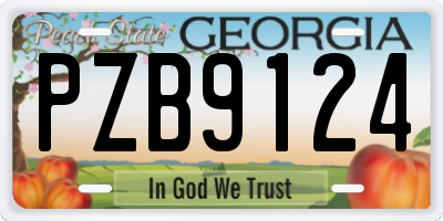 GA license plate PZB9124