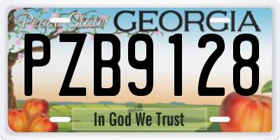 GA license plate PZB9128