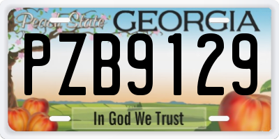 GA license plate PZB9129